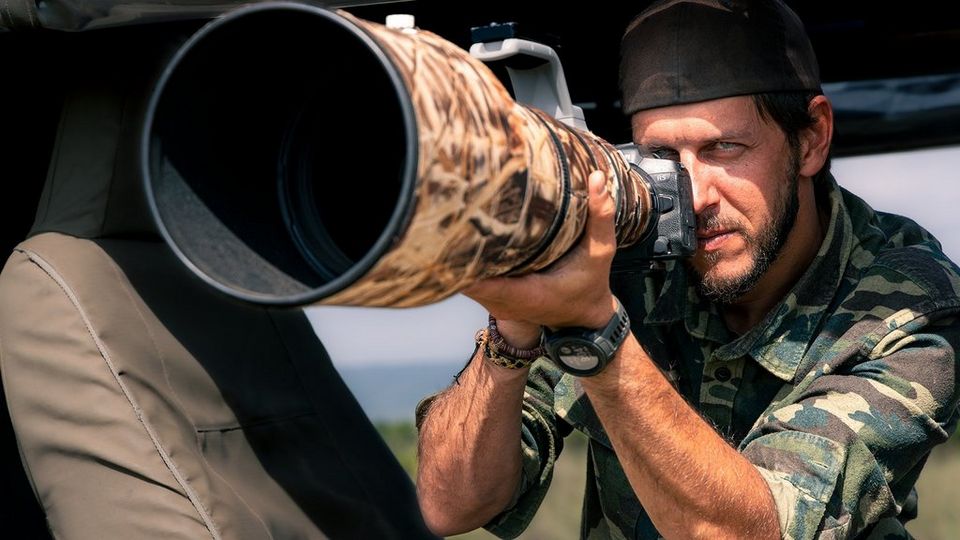 Photographie Animalière